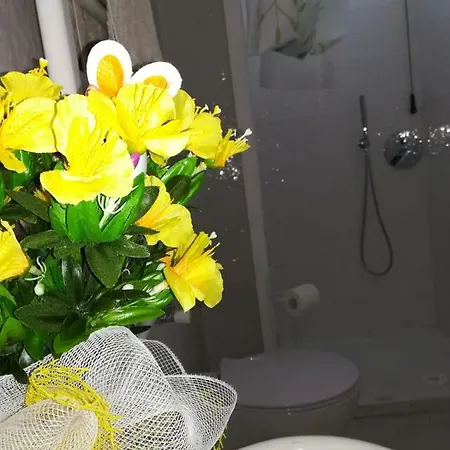 Casa vacanze Il Sementone Santa Maria Assisi
