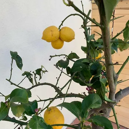 Casa vacanze Il Sementone Santa Maria *