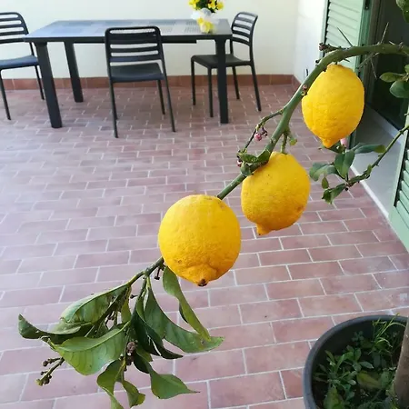Casa vacanze Il Sementone Santa Maria *